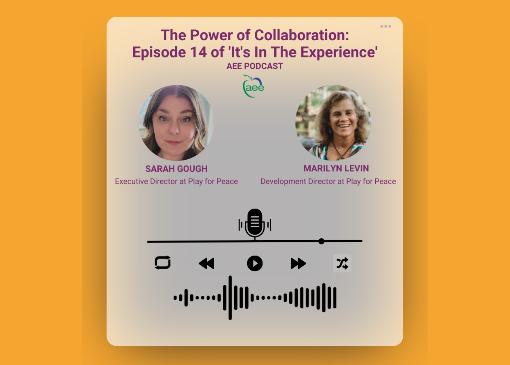 The Power of Collaboration: Insights from Episode 14 of 'It's In The Experience' Podcast